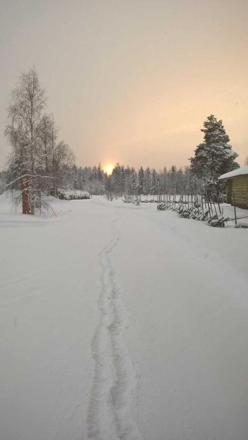 Guest House Haapaniemen Hirsikartano Iisalmi Exterior foto